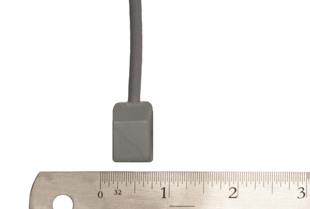 Earlessrx2